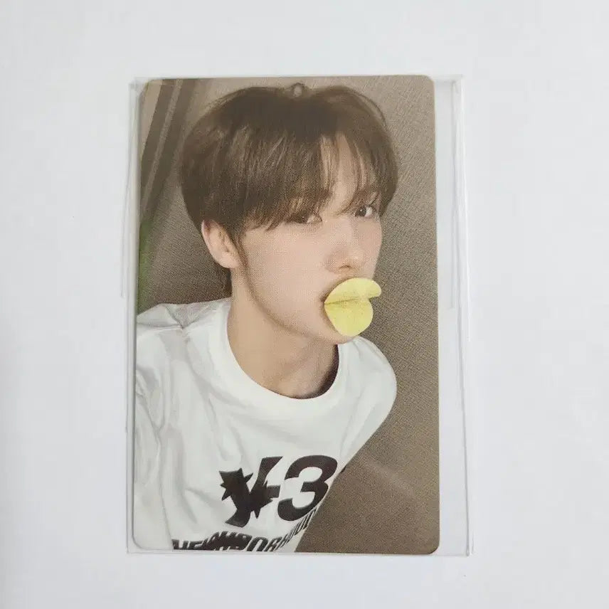 [SOLD OUT] 투어스 영재 특전