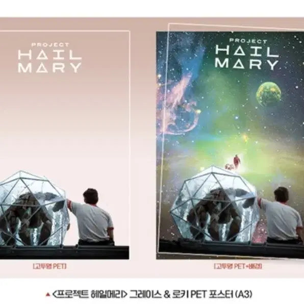 [BUNJANG] Project Hail Mary PET Poster Encore / 프로젝트 헤일메리 PET 포스터 앵콜