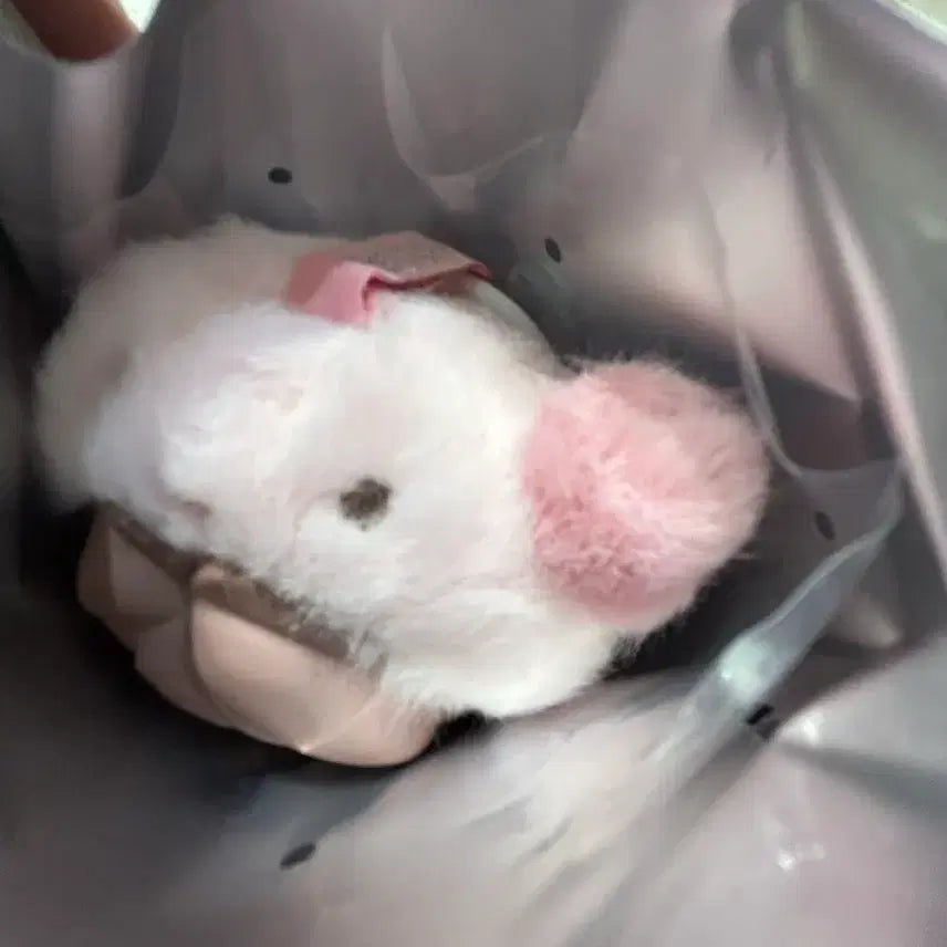 [BUNJANG] Pop Mart aespa Fluffy Club Winter Secret Doll Keychain / 팝마트 에스파 aespa 인형 키링 시크릿 윈터