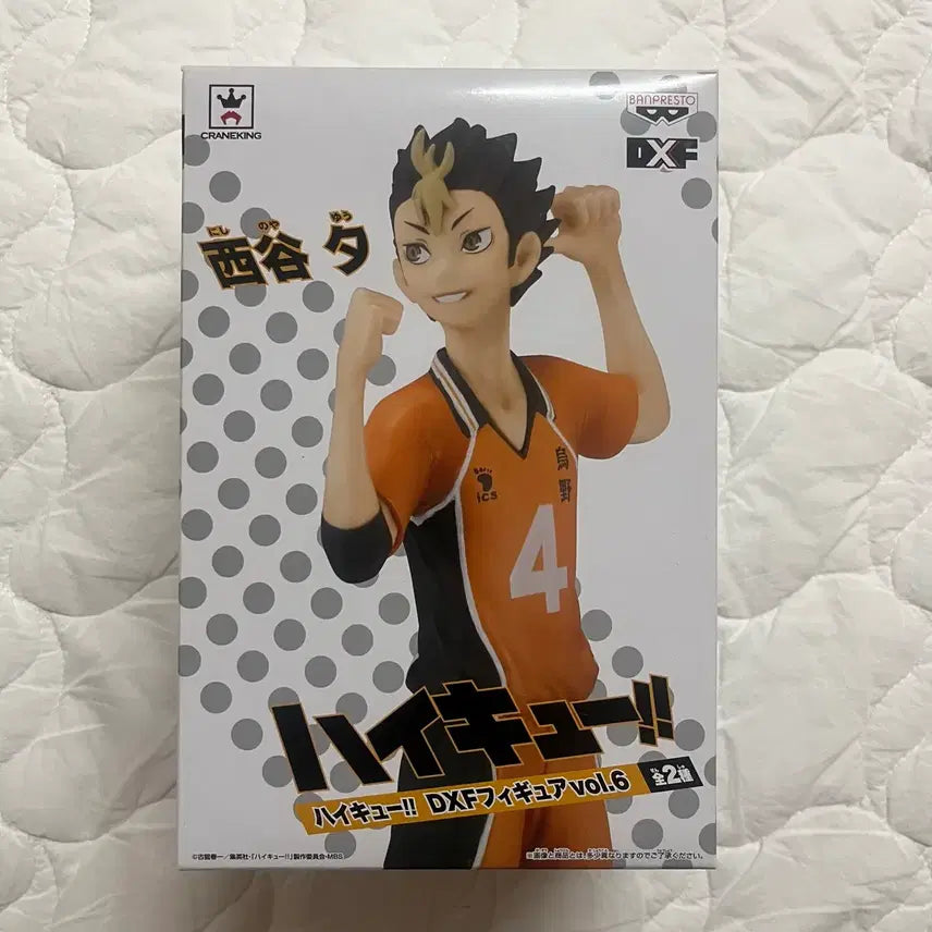 [BUNJANG] Haikyuu!! Nishinoya Yuu DXF Figure / 하이큐 니시노야 dxf 피규어