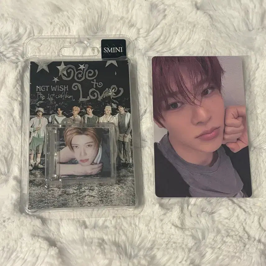 [BUNJANG] NCT WISH Sichen Lucky Draw Photocard &amp; Sichen Smalls / 엔시티위시 오드투러브 언박싱 파티 시온 포카 + 시온 스미니