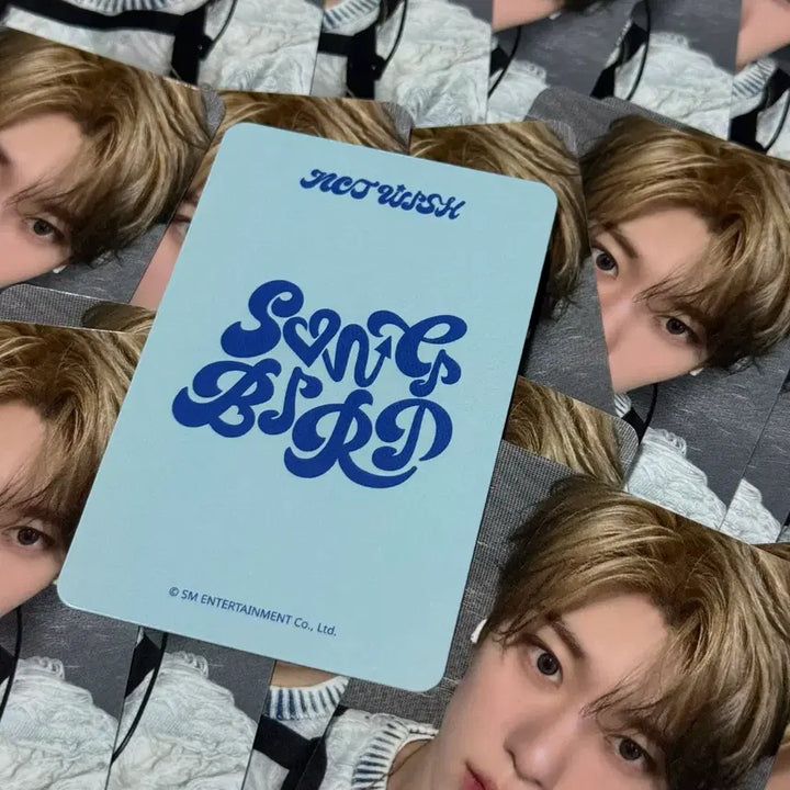 [BUNJANG] NCT WISH Sion Apple Music Photocard / NCT WISH 시온 애플뮤직 포카