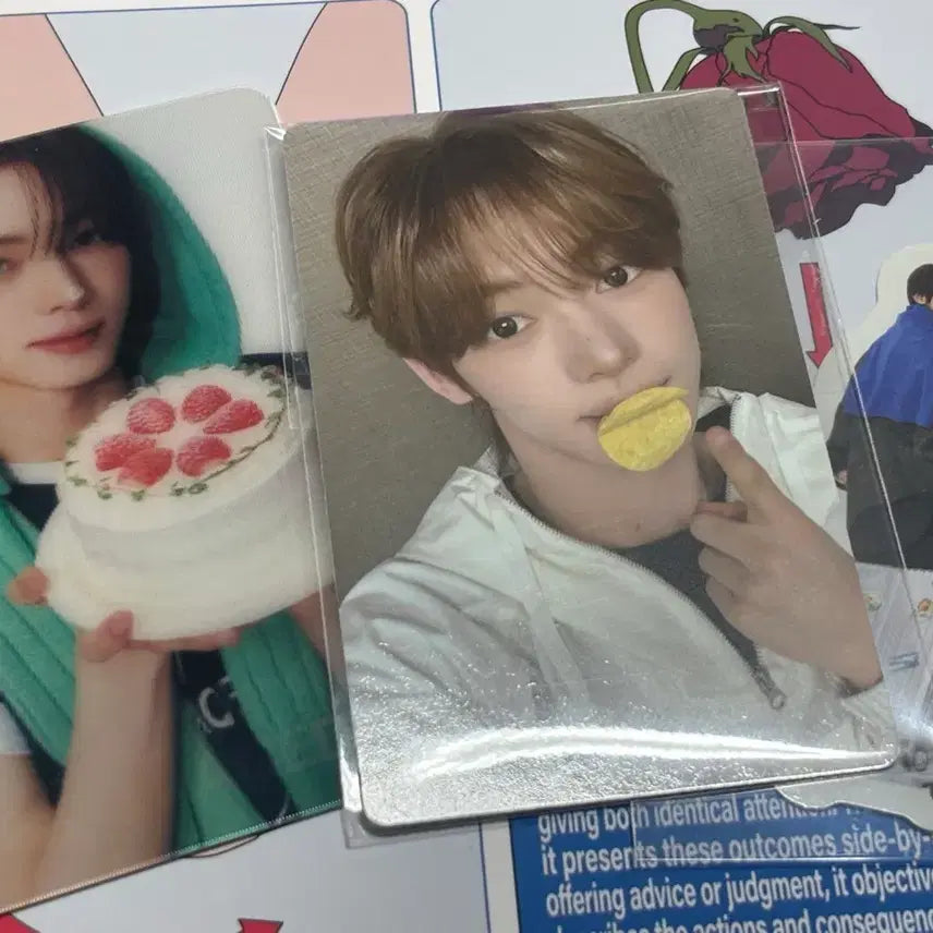 [BUNJANG] TWS Hanji Weverse Comeback Live Potato Chip Lenticular Sticker Set Photocard / 투어스 한진 위버스 컴백라이브 감자칩 미공포 렌티큘러 스티커 세트