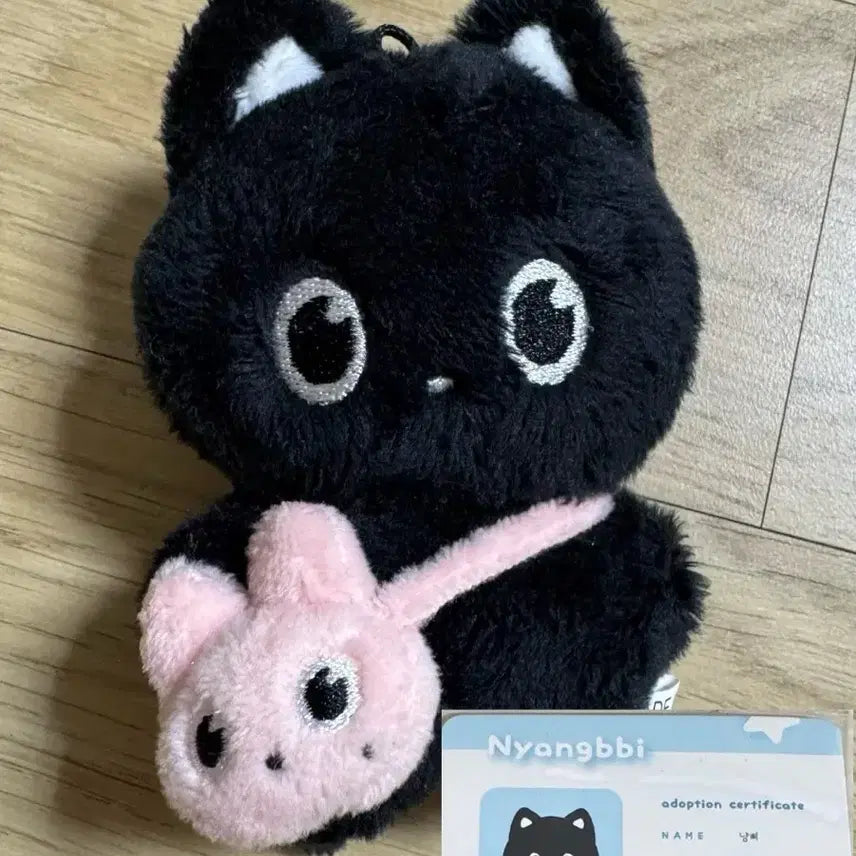 [BUNJANG] RIIZE Wonbin Cat Plush / 라이즈 원빈 인형