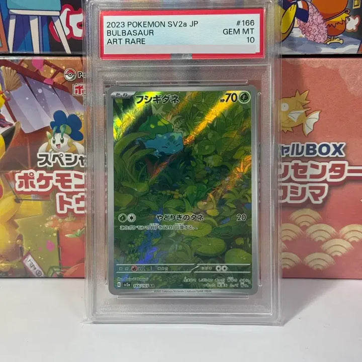 [BUNJANG] 2023 Bulbasaur PSA 10 Graded Card / 일판 2023 이상해씨 psa 10