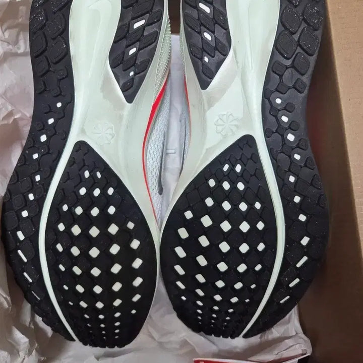 [BUNJANG] Nike Pegasus 41 Running Shoes (260mm) / 나이키 페가수스41 260사이즈