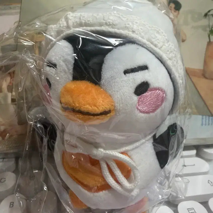 [BUNJANG] Junho Penguin Plush Toy / 준호 펭펭이