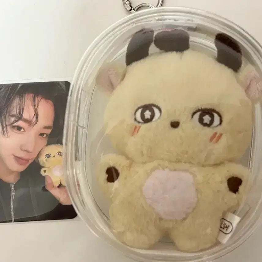[BUNJANG] Park Jihoon &