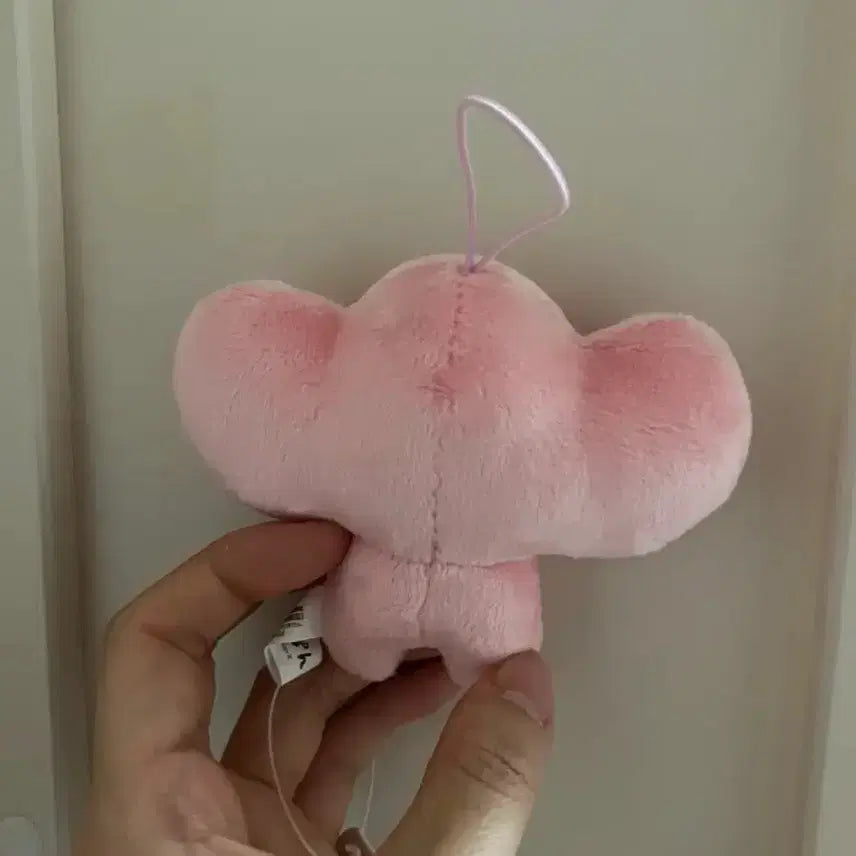 [BUNJANG] Kogeppang Ichigo Strawberry Bread Plush / 코게빵 딸기빵 이치고 인형 산엑스