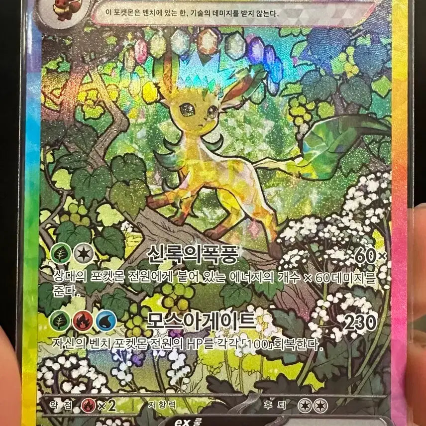 [BUNJANG] Lippia EX SAR / 리피아 ex SAR
