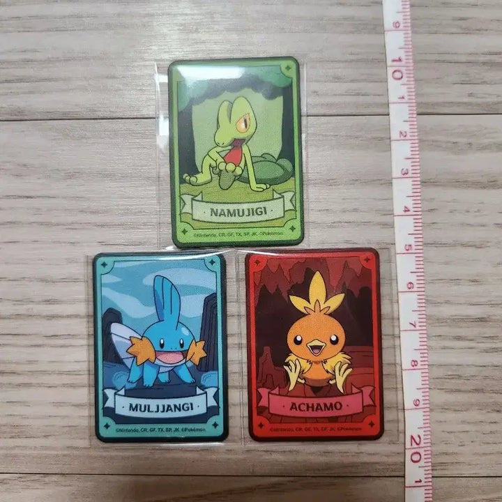 [BUNJANG] Pokemon Hoenn Starters Torchic Treecko Mudkip Secret Random Magnet / 포켓몬스터 시크릿 랜덤 마그넷 자석 호연지방스타팅 나무지기 아차모 물짱이