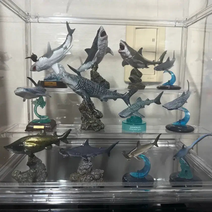 [BUNJANG] Naturelcalor, Biological Encyclopedia Shark Figure Collection / 택포 8.4) 네이처테크니컬러, 생물대도감 등 상어 피규어 모음