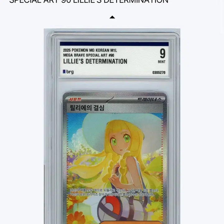 [SOLD OUT] 릴리에의 결심 sar brg9