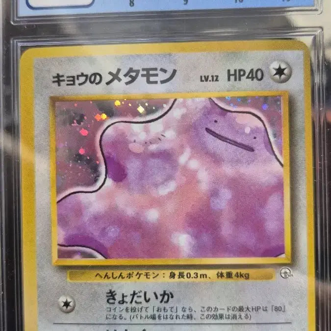 [BUNJANG] Pokemon 1999 Japanese Gym Challenge Ditto Holo CGC 9 / 포켓몬 일판 1999 Gym 챌린지  메타몽 홀로 CGC9