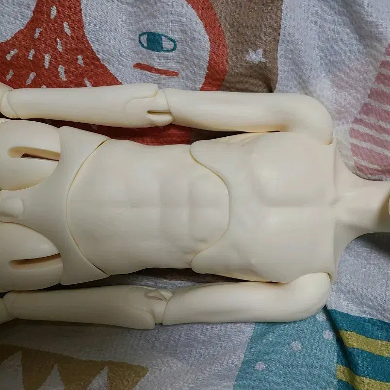 [BUNJANG] Volks SD17 BJD Body - Pale Skin / volks 보크스 sd17 미백스킨 바디 구체관절인형 bjd