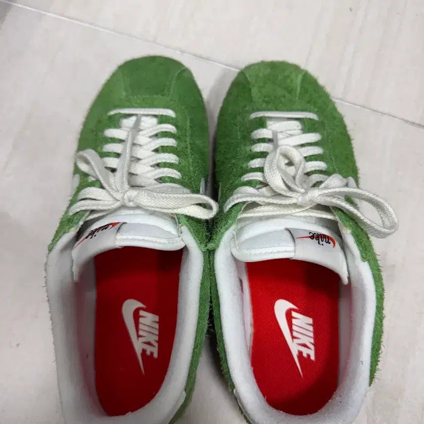 [BUNJANG] Nike Cortez Chlorophyll Shoes / 나이키 코르테즈 클로로필 260