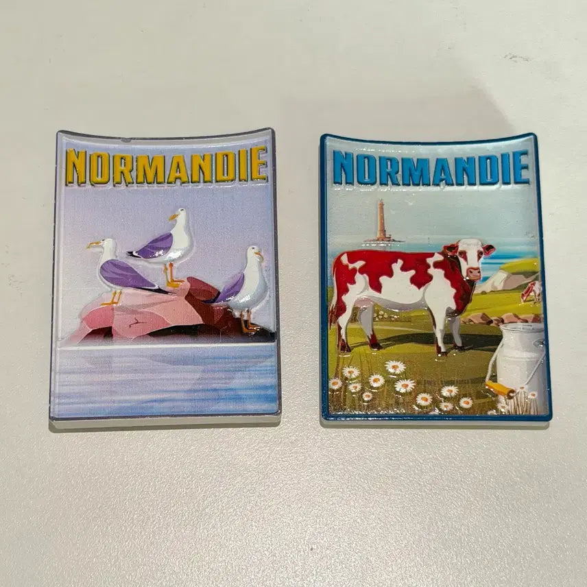 [BUNJANG] Travel Souvenir Magnets (Paris, Nice, Japan, Austria, Netherlands) / 여행마그넷 (파리,니스,일본,오스트리아,네덜란드)
