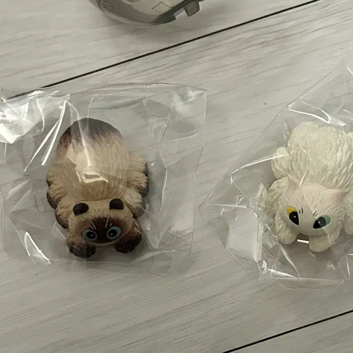 [BUNJANG] Kumoneko Spider Cat Figure Gacha Set / 쿠모네코 거미 고양이 피규어 가챠