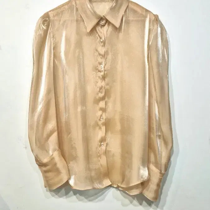 [BUNJANG] Glossy See-Through Blouse / 광택 시스루 블라        싸이즈 :  55-66