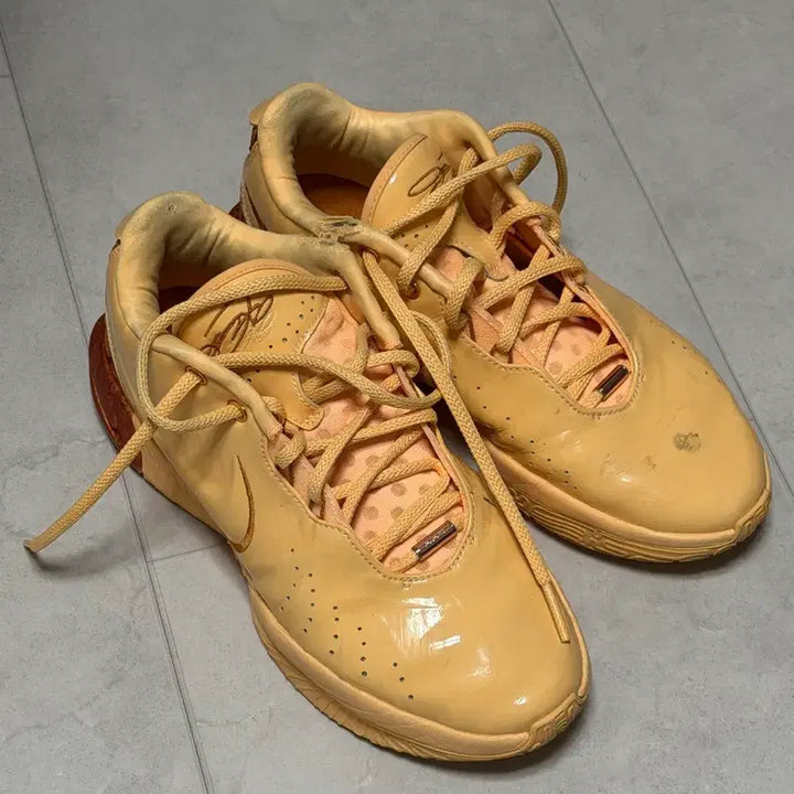 [BUNJANG] Nike LeBron 21 Basketball Shoes (280mm) / 르브론21 농구화 280