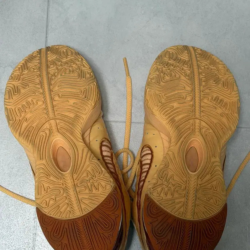 [BUNJANG] Nike LeBron 21 Basketball Shoes (280mm) / 르브론21 농구화 280