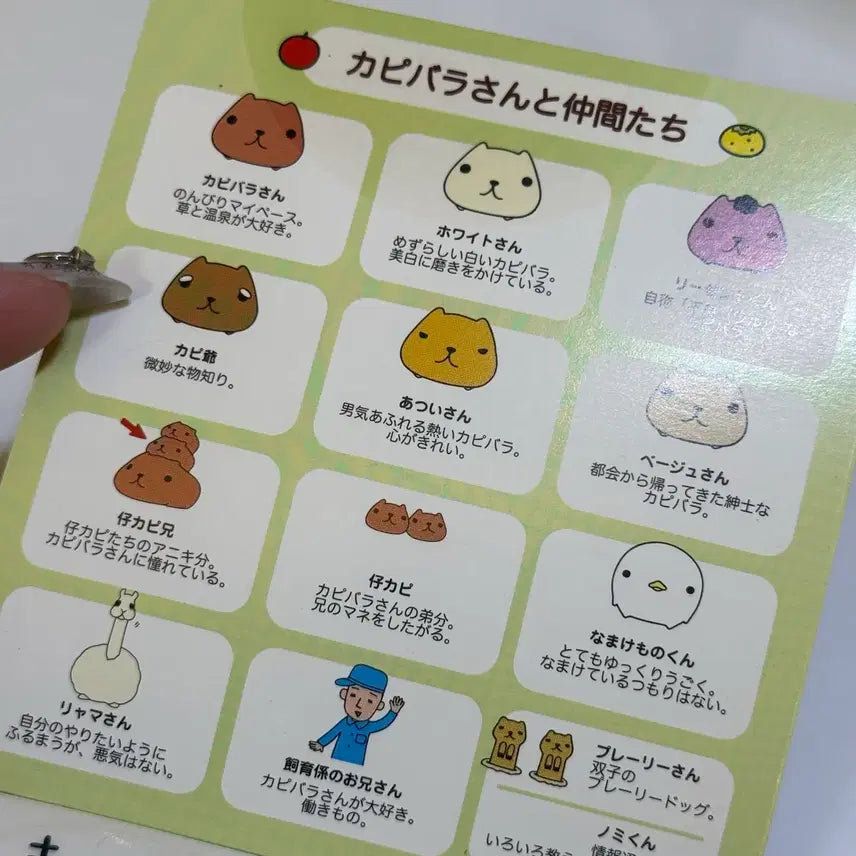 [BUNJANG] Capybara Stickers Sticker Book / 고전 카피바라상 카피바라 스티커북 새제품 인형 양도 판매
