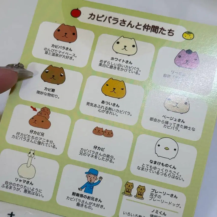 [BUNJANG] Capybara Stickers Sticker Book / 고전 카피바라상 카피바라 스티커북 새제품 인형 양도 판매