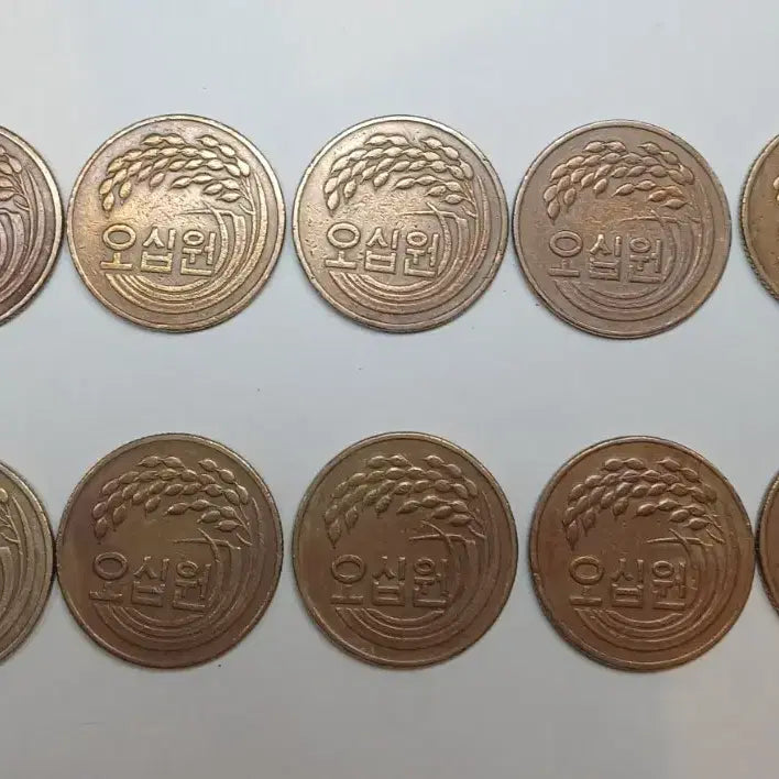 [BUNJANG] 1981 50 Won Coin Bundle Set (10 pcs) / 1981년 50원 동전 10개 일괄