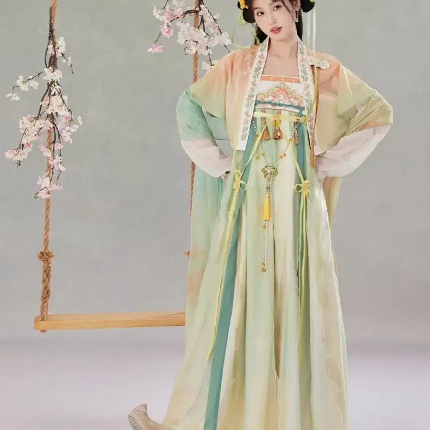 [BUNJANG] Hanfu Cosplay Costume (Traditional Chinese Style, Goddess Robe) / [판매/신품] 한푸 프리사이즈 (고전,중국풍,선녀옷,코스프레)