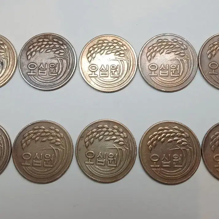 [BUNJANG] 1982 50 Won Coin Bundle (10 pieces) / 1982년 50원 10개 일괄