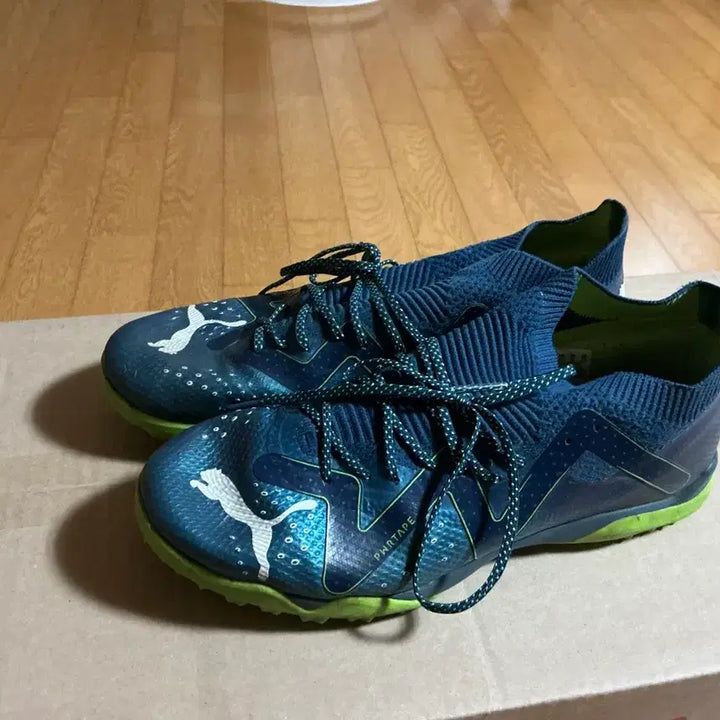 [BUNJANG] Puma Future Ultimate Cage Soccer Cleats - 270mm / 푸마 퓨처 얼티메이트 케이지 270