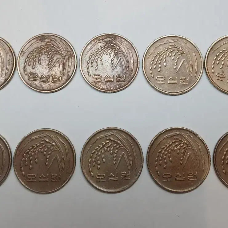 [BUNJANG] 1989 50 Won Coin Bundle (10 Coins) / 1989년 50원 동전 10개일괄