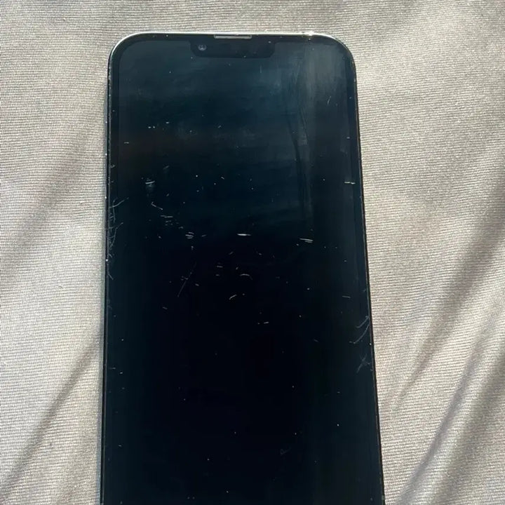 [BUNJANG] Apple iPhone 13 Pro Max 256GB / 아이폰