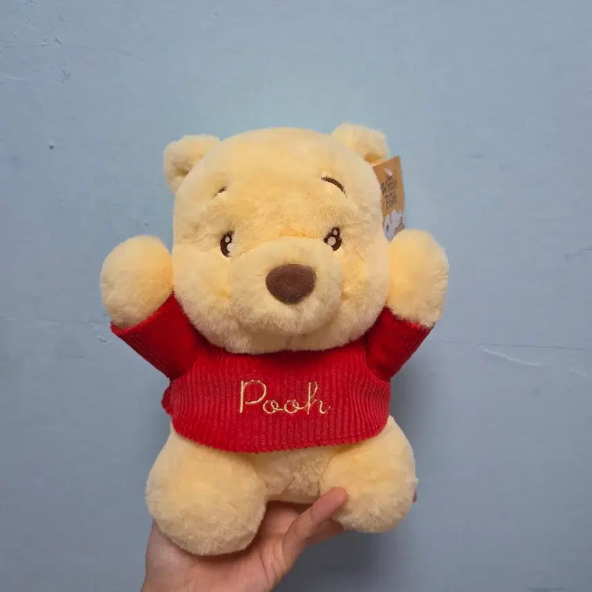 [BUNJANG] Disney Winnie the Pooh Plush Doll / 디즈니 곰돌이 푸 푸우 인형 봉제인형 퍼니파티 아기선물 정품 애착인형