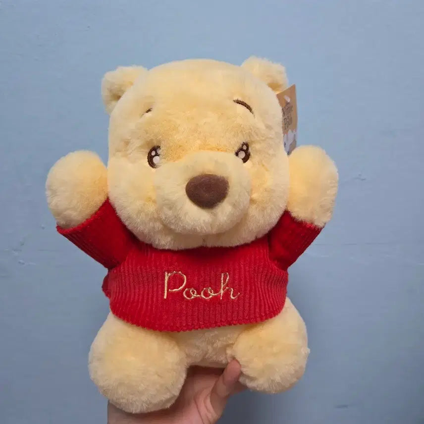 [BUNJANG] Disney Winnie the Pooh Plush Doll / 디즈니 곰돌이 푸 푸우 인형 봉제인형 퍼니파티 아기선물 정품 애착인형