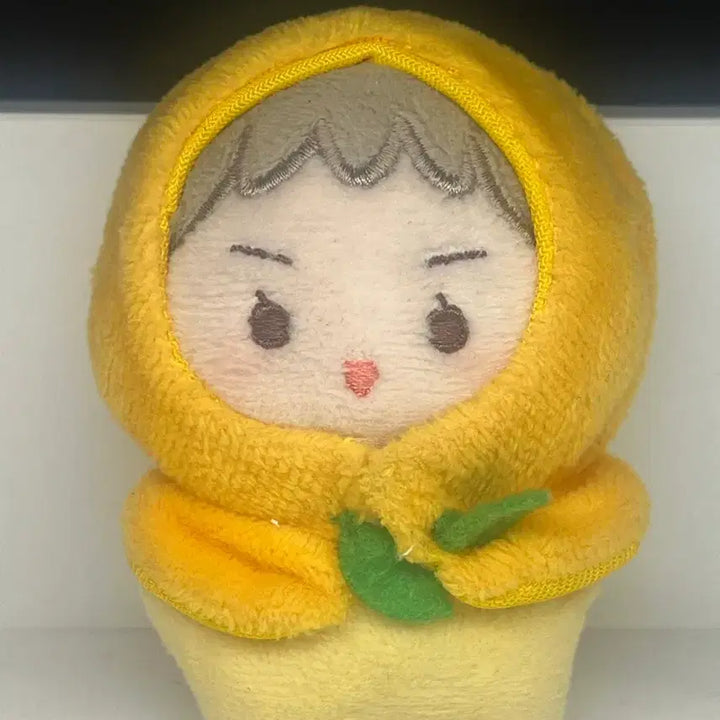 [BUNJANG] EXO Sehun Doll Osalgu / 엑소 세훈 인형 오살구 오세훈 exo