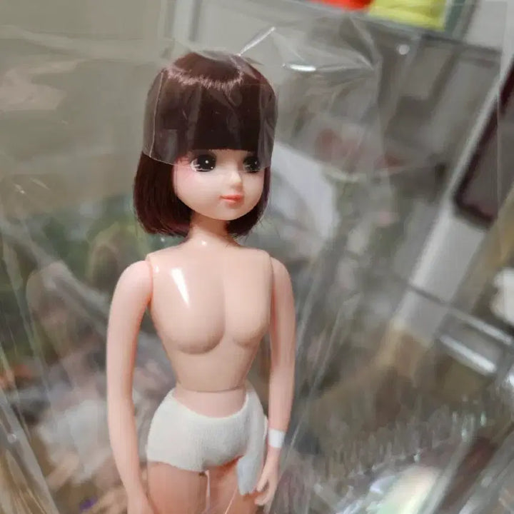 [BUNJANG] Castle Custom Short Hair Rika Doll / 상자리카 캐슬 커스텀단발 리카