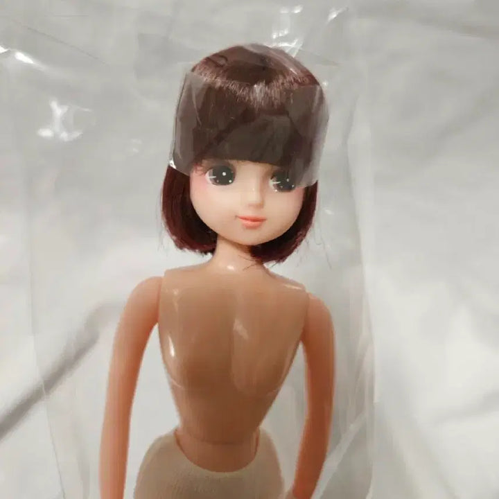 [BUNJANG] Castle Custom Short Hair Rika Doll / 상자리카 캐슬 커스텀단발 리카