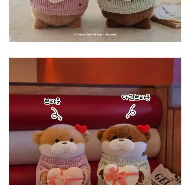 [BUNJANG] Uso Uso Chan Heart Day Dark Brown 28cm + Lakot San Keyring Doll Set (New) / 우소우소짱 하트데이 다크브라운28cm+라콧상 키링인형 세트(새상품)