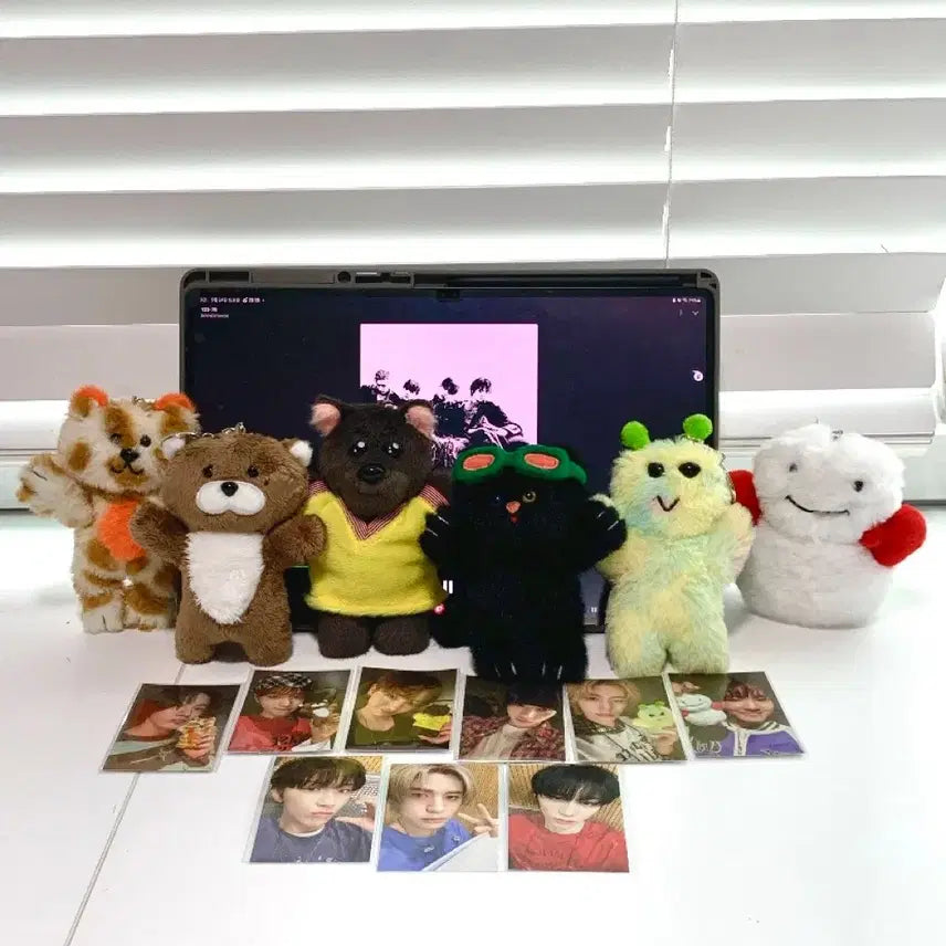 [BUNJANG] Boonieckdo How ver. 1st Gen Full Set Photocard Bundle Set / 쁘넥도 How ver. 1기 풀셋 포카 미개봉 일괄 보넥도