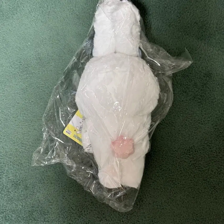 [BUNJANG] Rico MOMOREI Doll (Japan Authentic, Unsealed) / [초특가] 리코 모모레이 Rico MOMOREI 인형 판매 일본정품