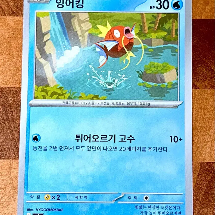 [BUNJANG] Magikarp Pokemon Card / 포켓몬 카드 잉어킹