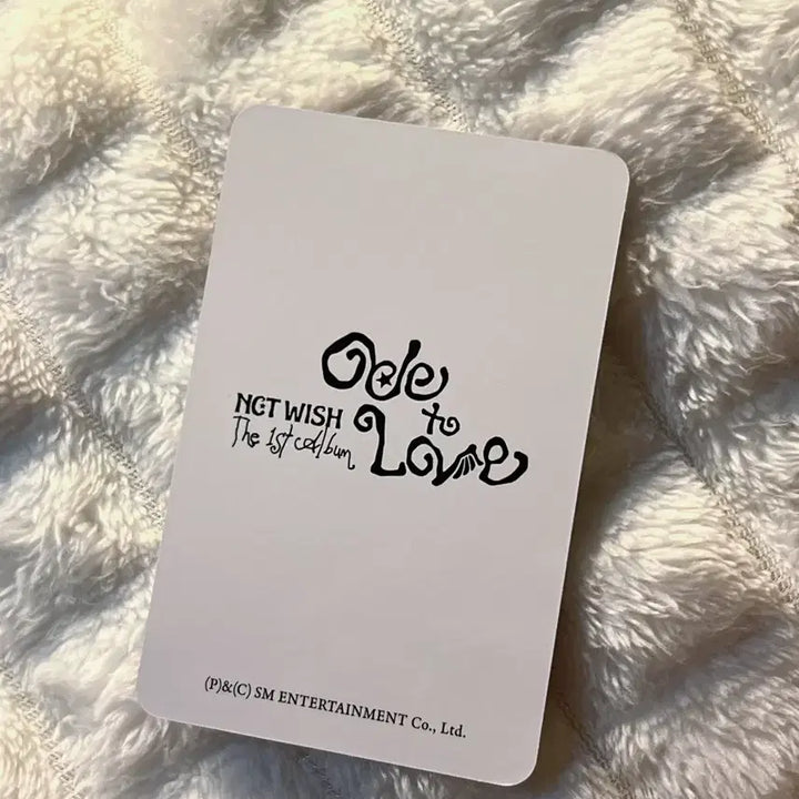 [BUNJANG] NCT WISH ONE OF A KIND Eros First Press Limited Edition TT Yuushi Photocard / 엔시티위시 오드투러브 에로스 초회한정반 티티 유우시