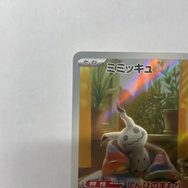 [BUNJANG] Pokemon Card Turtur AR Japanese / 포켓몬카드 샤트 따라큐 ar 일판