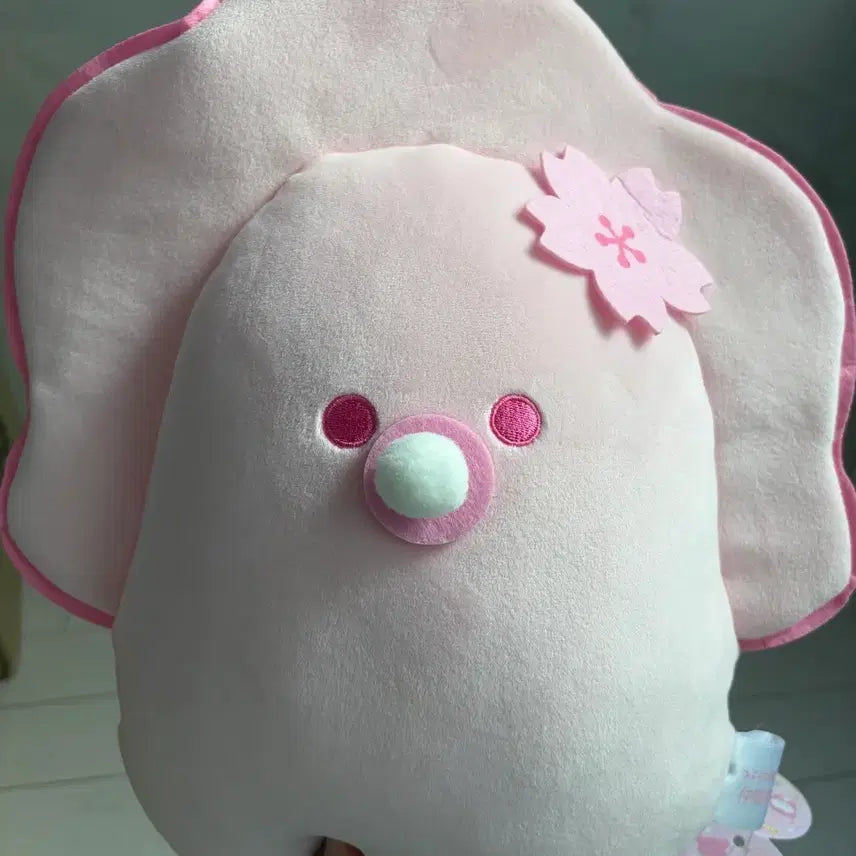 [BUNJANG] Pink Tsuburana Hitomi Cherry Blossom Baby Clam Medium Plush / 핑크 츠부라나 히토미/벚꽃 애기 굴 중형 인형