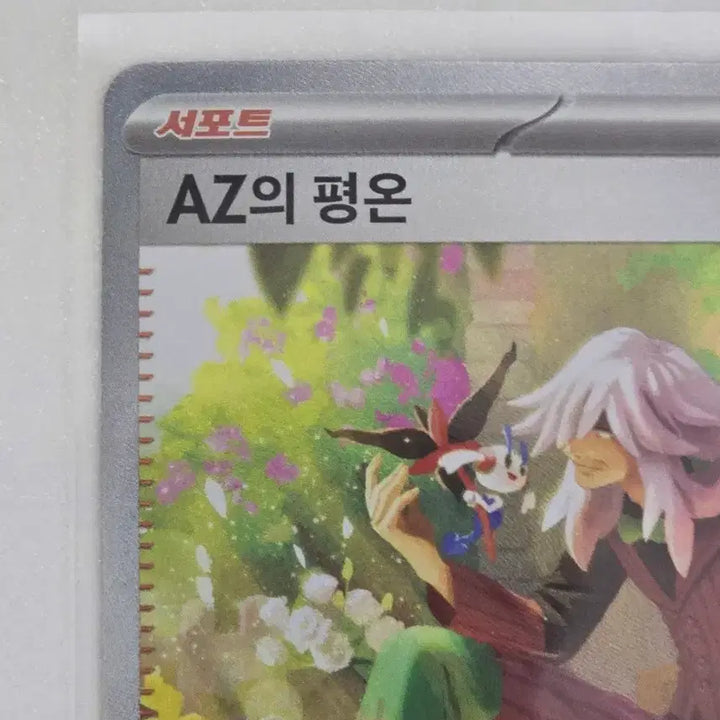 [BUNJANG] Pokemon Card AZ&