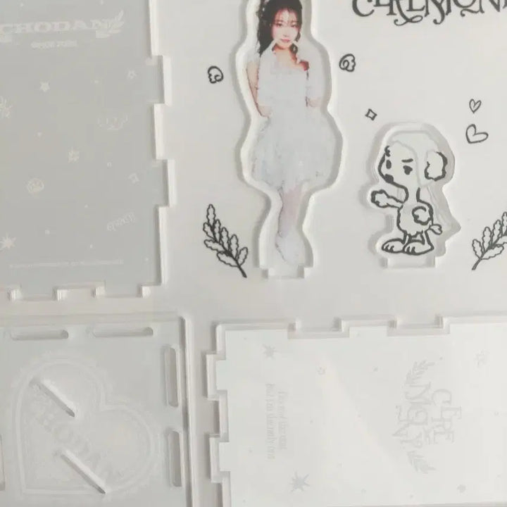 [BUNJANG] QWER Ceremony Pop-up Hina, Chodan Acrylic Stand / qwer 세레머니 팝업 히나,쵸단 아크릴 판매합니다