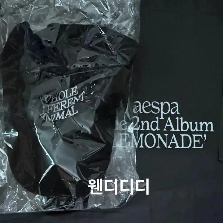 [BUNJANG] Aespa WDA Music Bank Studio Live Special Gift Cap Hat / 에스파 WDA 뮤뱅 공방 역조공 볼캡 모자
