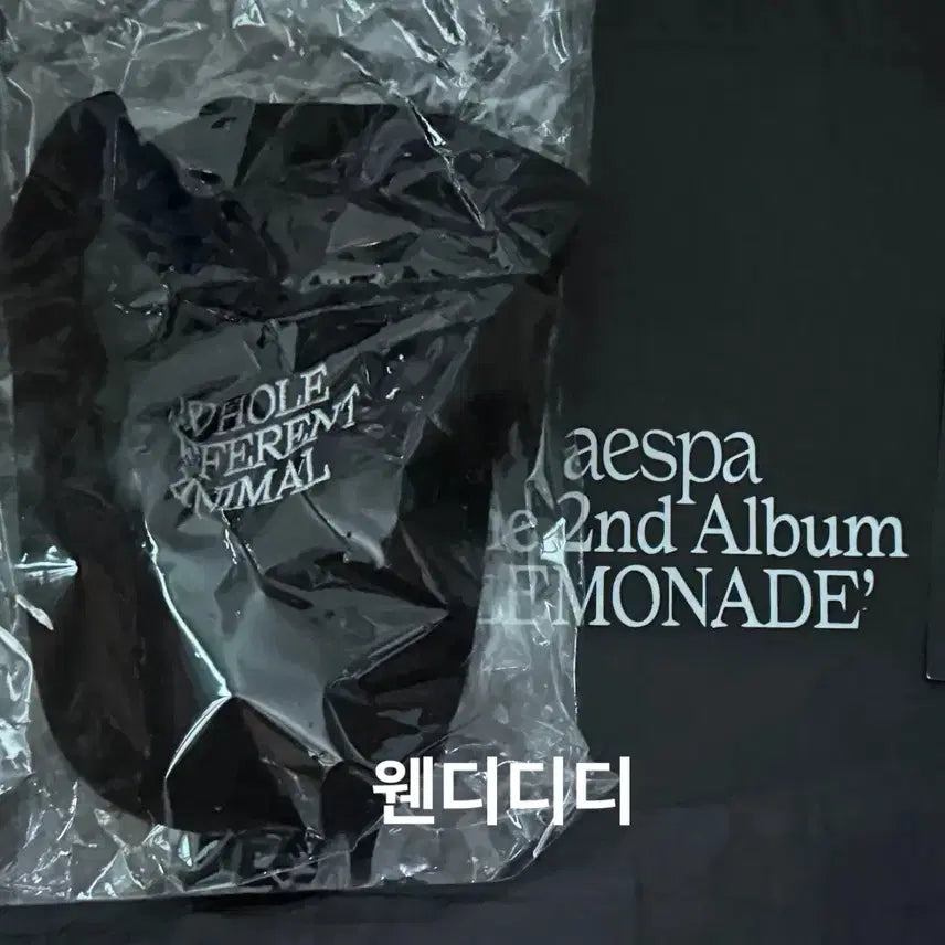 [BUNJANG] Aespa WDA Music Bank Studio Live Special Gift Cap Hat / 에스파 WDA 뮤뱅 공방 역조공 볼캡 모자