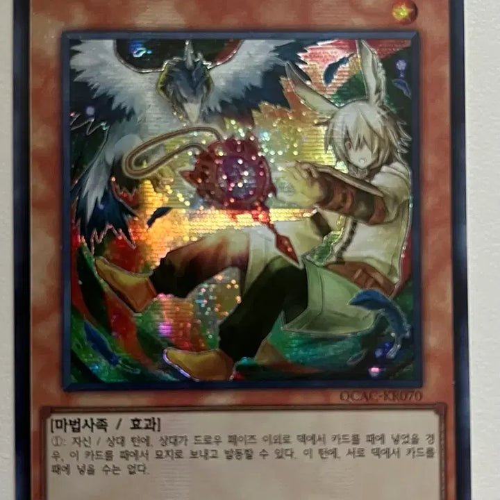 [BUNJANG] Drole &amp; Lockbird Shin Iller Secret Rare Photocard / 드롤&amp;로크버드 신일러 시크릿레어